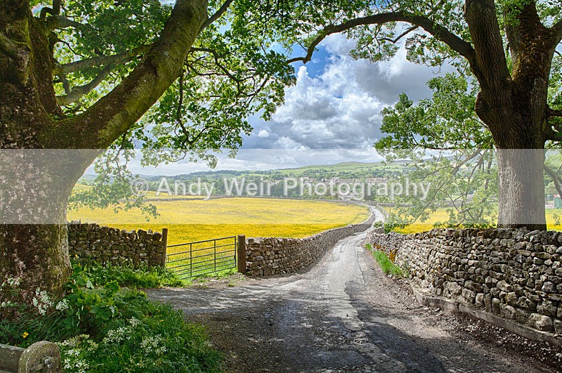 Dales Lane - England