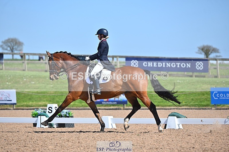 250405-130006-10808 - 028-Elizabeth.Allen-Heraldik