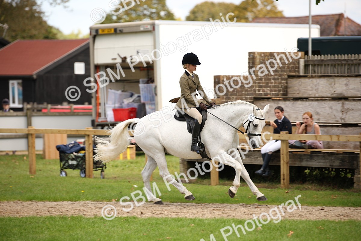 SBM_42333 - S13 - Pony Club Pony