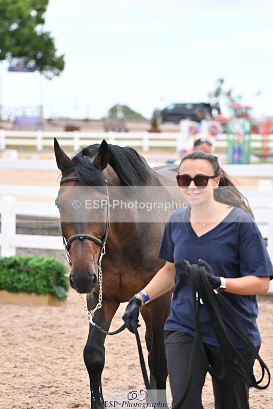 250716-135917-00843 - Trot Up 1.30 to 2.30