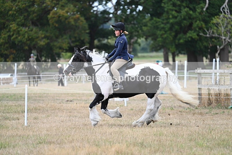 WJ7_5110 - Class 12 Ridden Cob