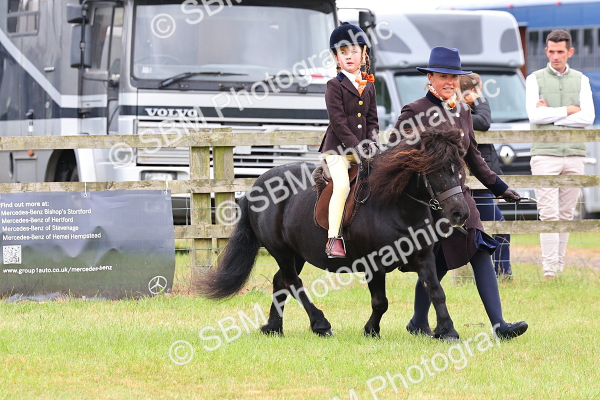 SBM_08153 - Class 42-43 - LIHS BSPS Heritage Working Sports Pony