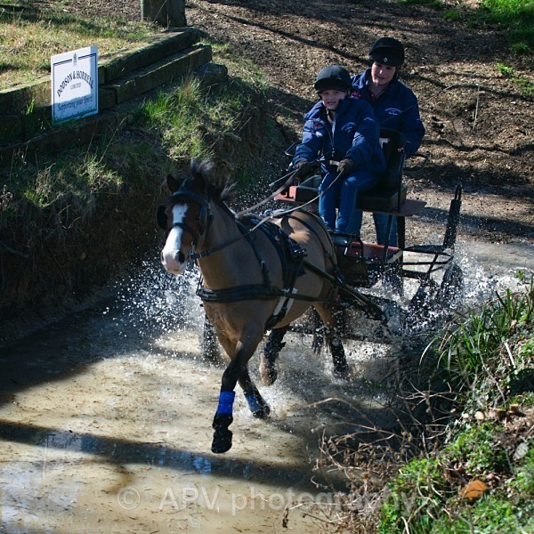 _DSC0107sml - Ashfields Carriage & Polo Club