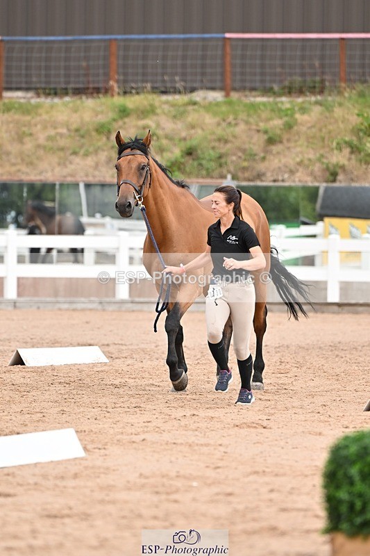 250716-152627-01942 - Trot Up 2.30 to 3.30