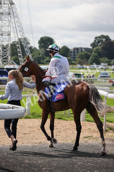 yr18082021r3-38 - Race 3 3.00pm Sky Bet Great Voltigeur Stakes