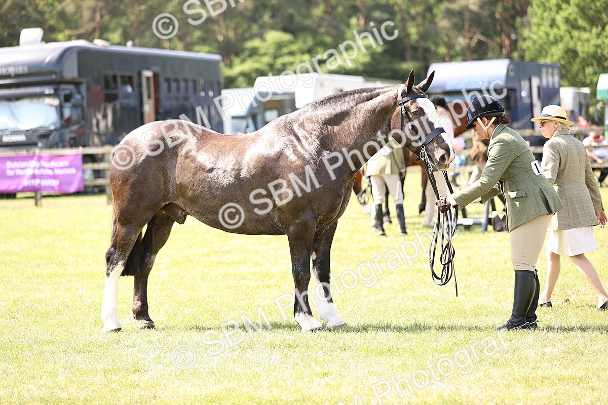 SBM_13817 - Class 77 - LIHS BSHA Rising Star Cobs