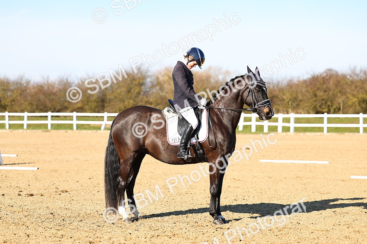 026A9010 - Class 8 - Elementary 5