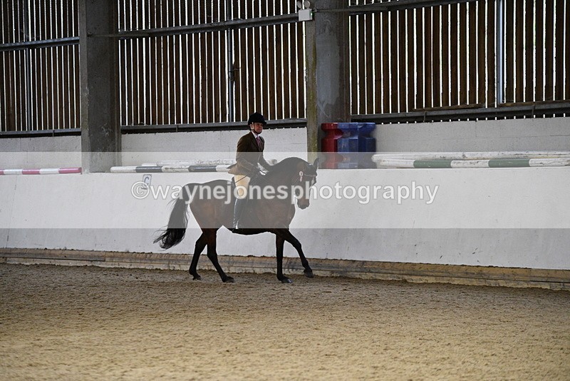 WJ5_8840 - Class 15 Ridden Show Horse