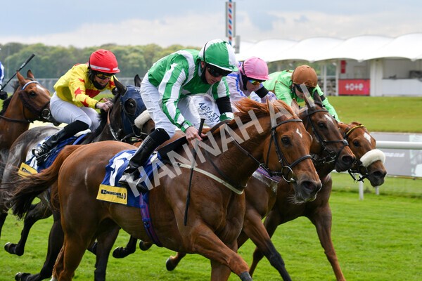 yr12052021r2-37 - Race 2 2.10pm Churchill Tyres Stakes
