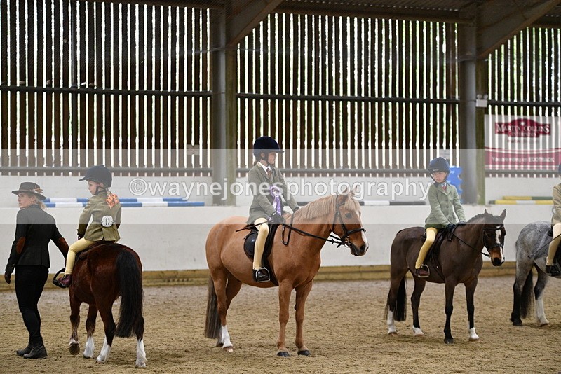 WJ5_7145 - Class 10 Childs Pony