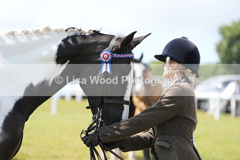 DSC07103 - Class 61: Coloured Horse 4yrs & Over