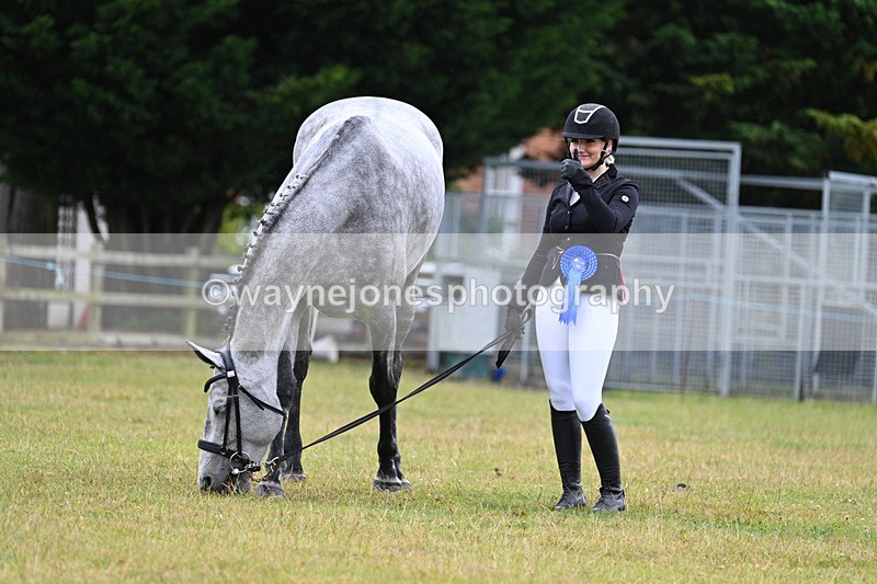 WJ7_6389 - Class 4a Prettiest Mare over 14hh