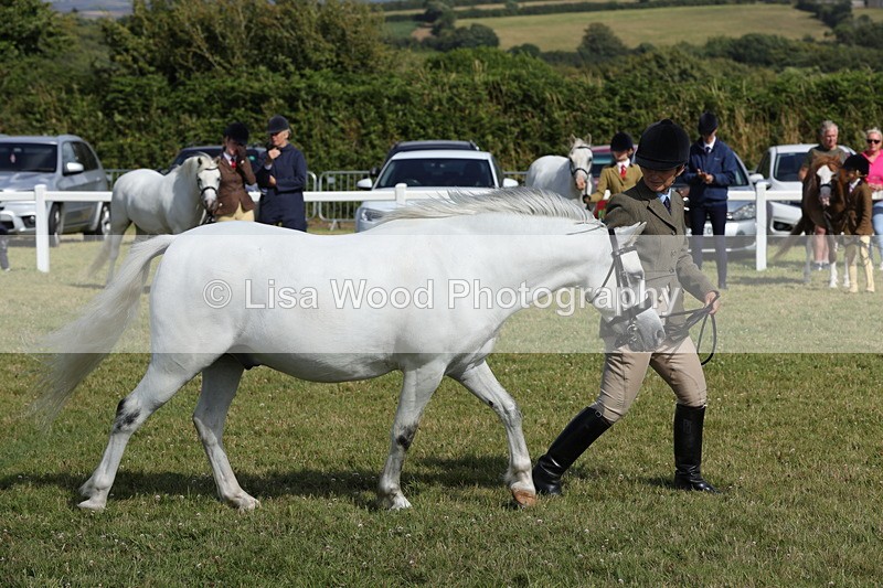 1X9A5799 - Class 40: NPS Welsh A & B