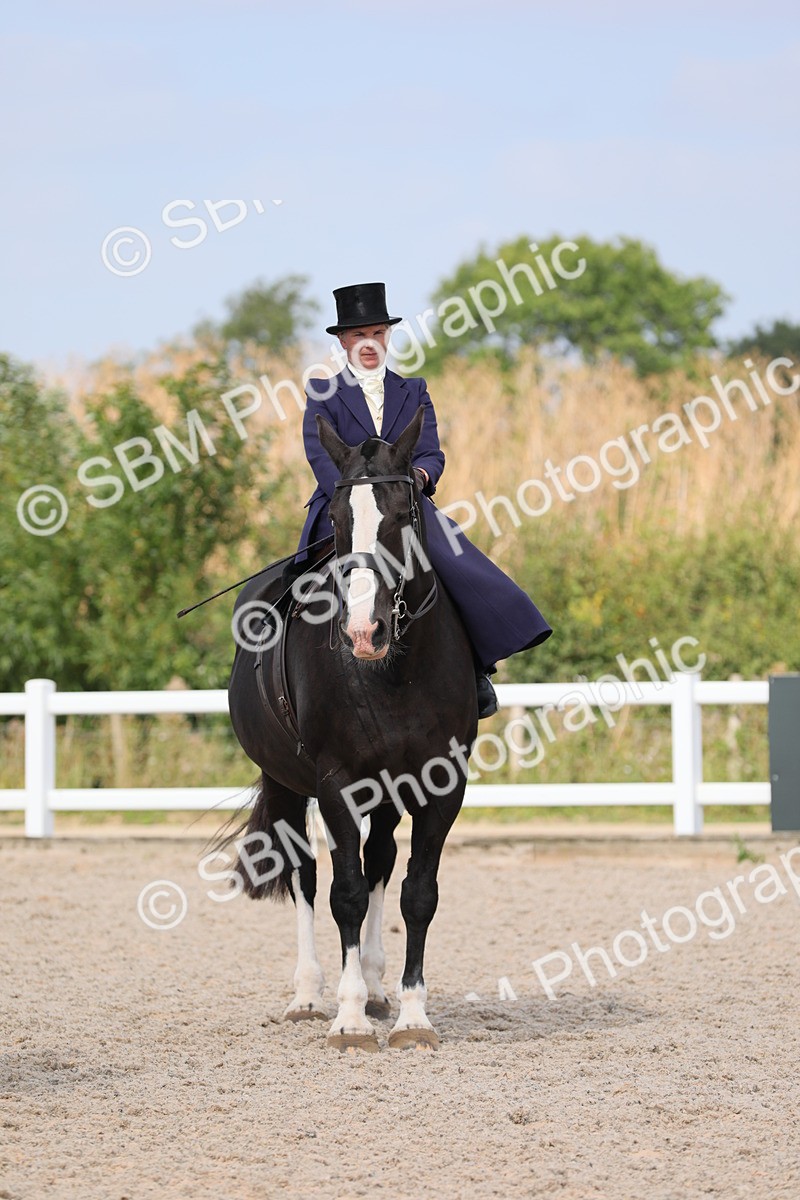SBM_14596 - Class 211 Best Side Saddle Horse/Pony