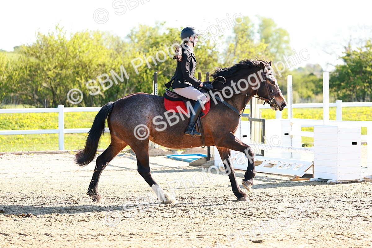 SBM_000307 - Class 1 - Clear Round