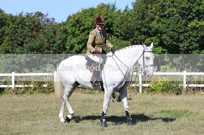 3E7A5877 - Class 5: Working Hunter 90cm