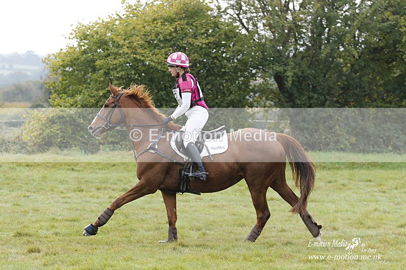  WWHT 171021 1043 - Open Novice (0.80m)  17/10/21