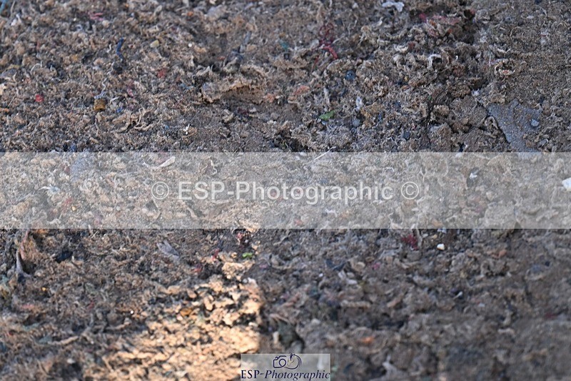 251203-125123-00546 - Cls 4 Newcomers and 1.10m Open