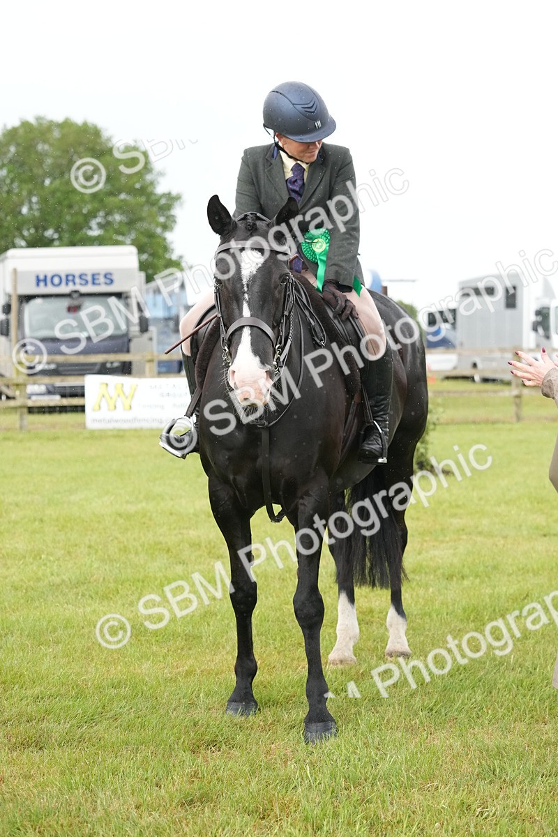 SBM_12807 - Class 97-98 - LIHS BSHA Rising Star Working Show Horse Hunter