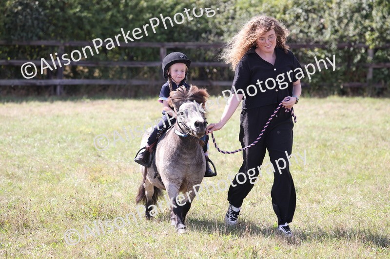 20260906-2784 - Class 25 - Absolute Beginners Pony