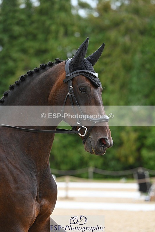 230813-144327-07824 - Cls 13 Medium Bronze 13.15 to End