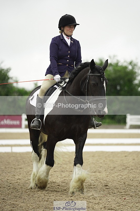 230708A-100308-00288 - Intro C