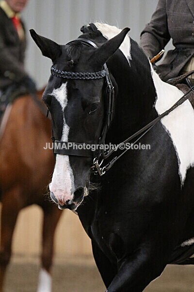 SIAL3074 - Sunday 14th Ridden