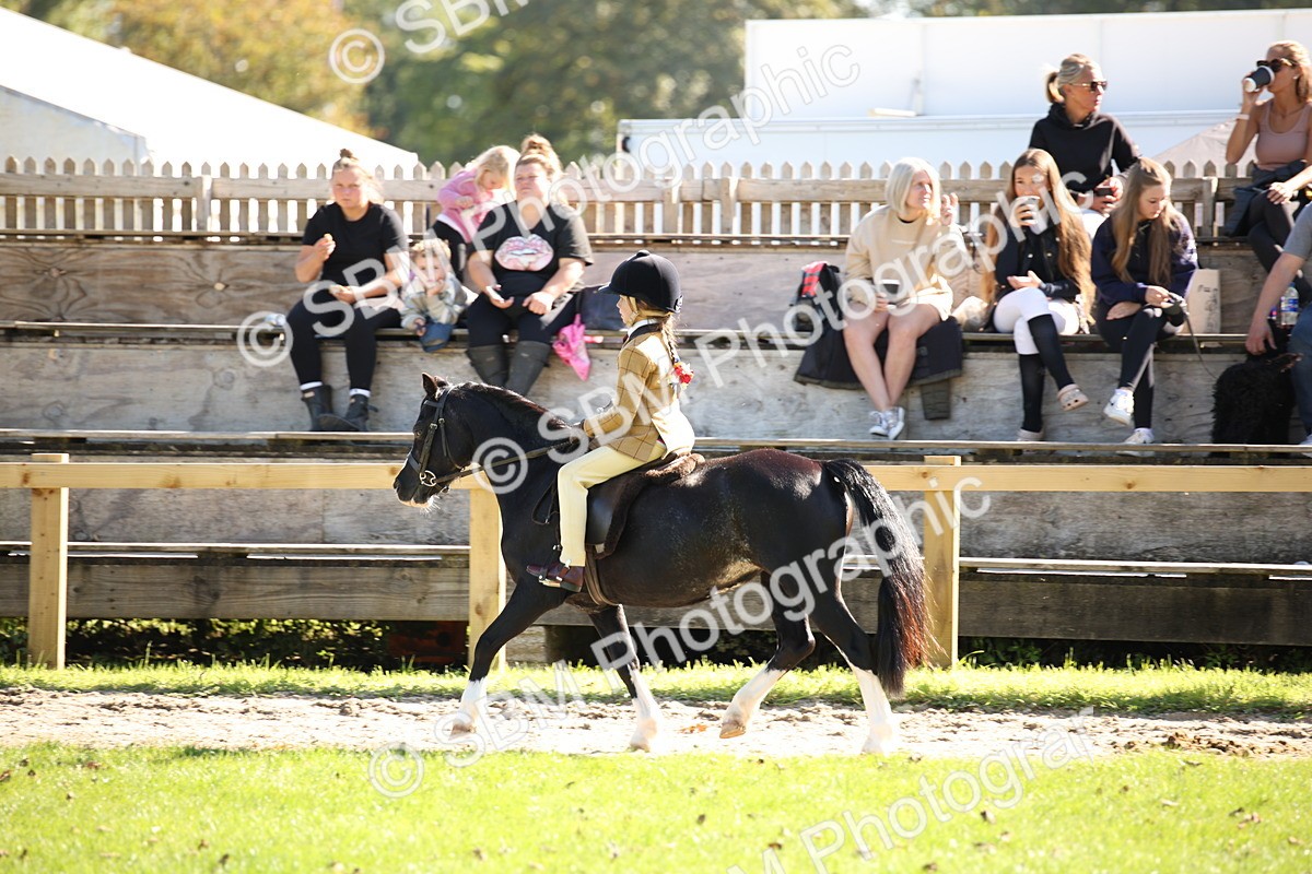 SBM_39006 - S11 - Best Ridden Horse & Pony