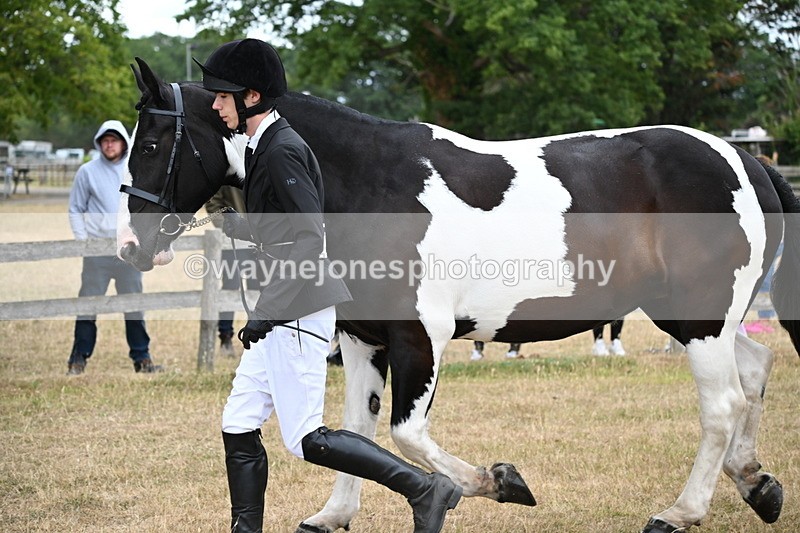 WJ6_8221 - Class 10 Coloured in Hand