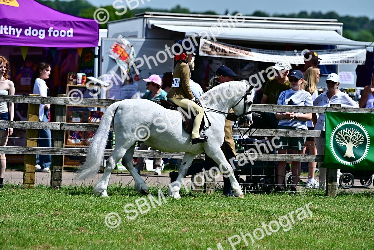 SBM_05767 - Class 59-60 - TSR M&M  Lear Rein and First Ridden Amateur of the year