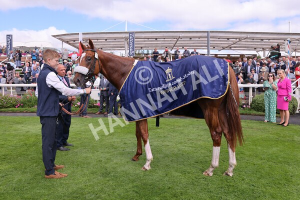 yr17082022r2-62 - Race 2 2.25pm Tattersalls Acomb Stakes