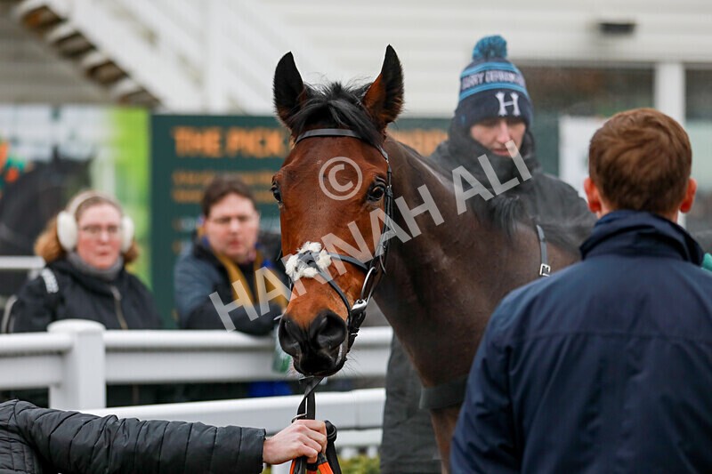 310125-Race 3-Turn And Finish-4468