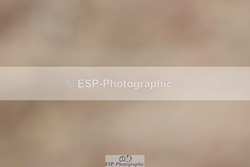 250622-122408-14859 - Cls 50 Elementary 5 Start to 13.10