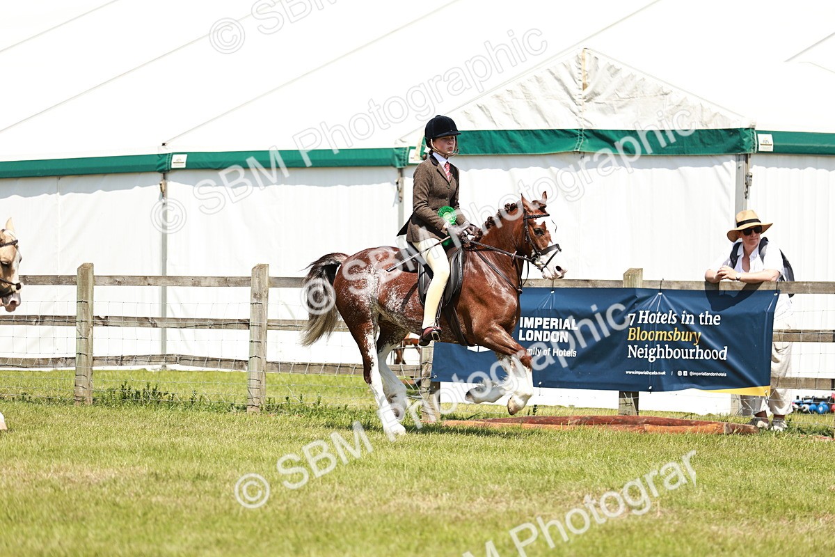 SBM_15754 - Class 108-109 - BSPS LIHS Open Gradle & Nursery Stakes