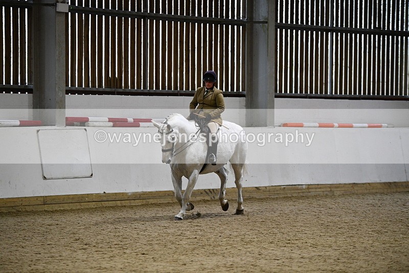 WJ5_9048 - Class 15 Ridden Show Horse
