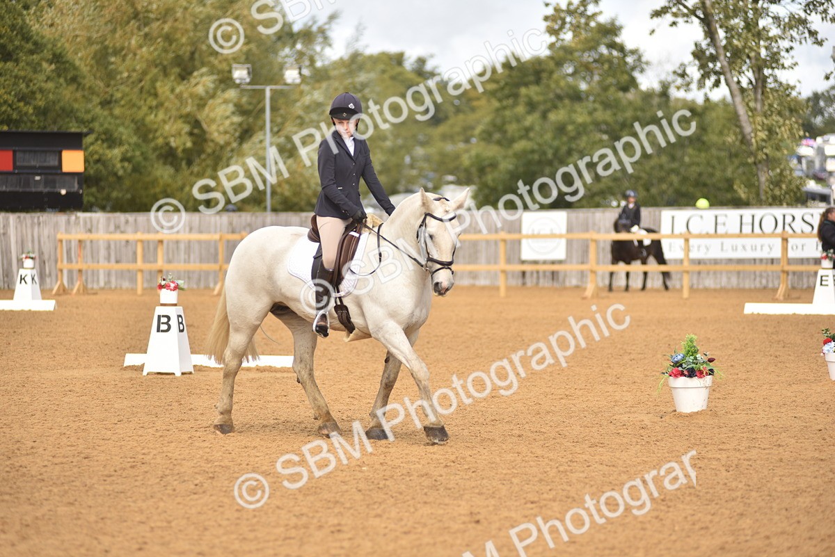 SBM_42322 - D22 - Junior Championship Intro 3