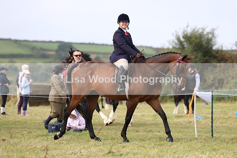 3E7A3896 - Class 4: Best Combination Open