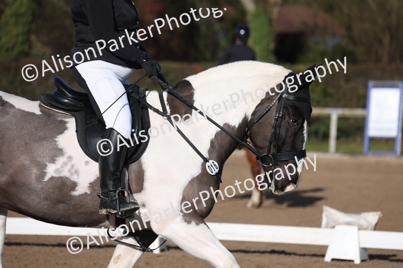 20260128-0253 - Class 3 - Novice 4