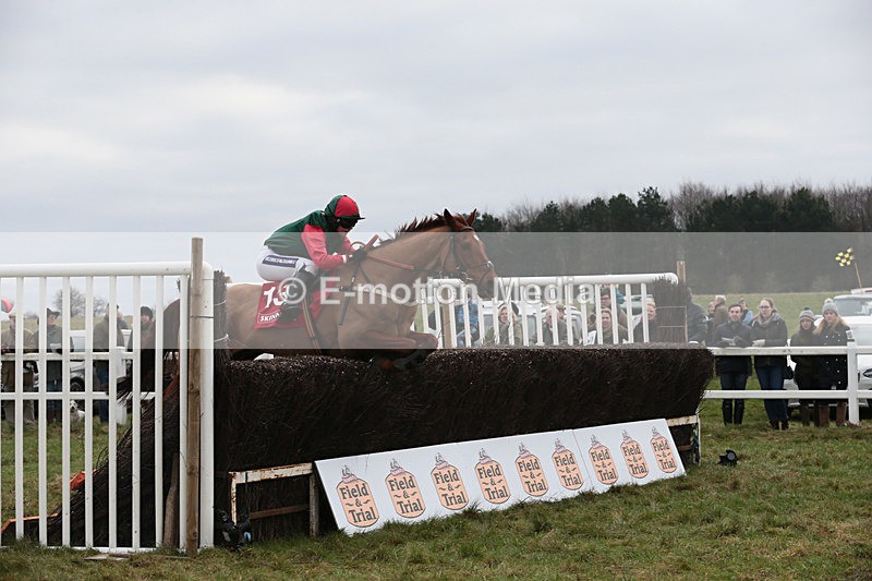 PtP 060119 146 - Larkhill Racing Club - Point-to-Point- 06/01/2019