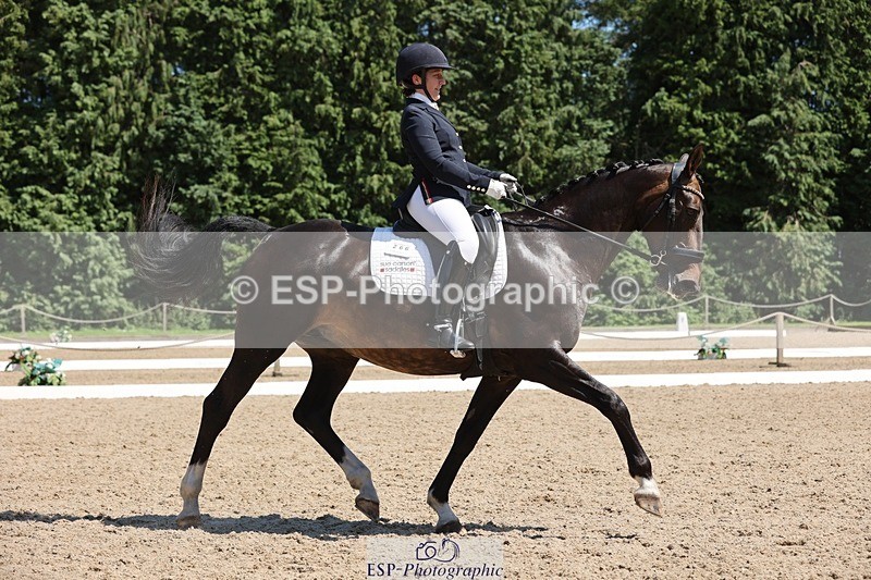 240719-142911-02318 - 266-Chloe_Cocks-Indulgence