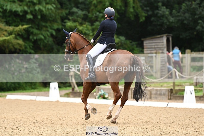 240811-102331-05006 - 110-Helen.Kitto-Da.Vinci.IV