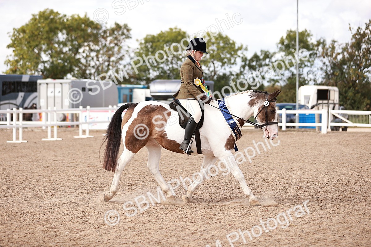 SBM_14410 - Class 409 - Grassroots Ridden - Pony