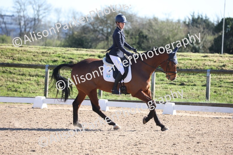 20260318-0715 - Class 7 - Elementary 1