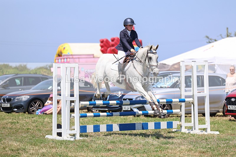 3E7A4394 - Class 10: Senior British Novice/90cm open