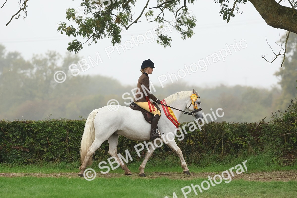 SBM_73208 - Super Supreme Championship(Sun)