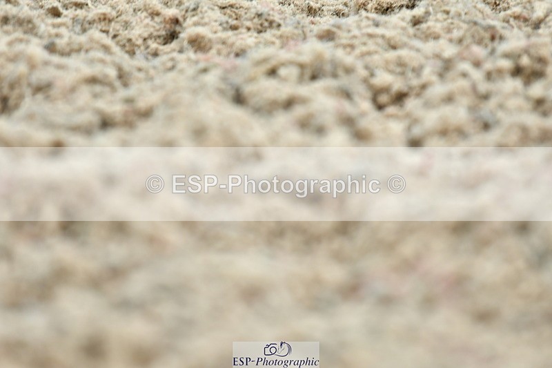 230630A-121714-01531 - Cls 5 Novice 37A