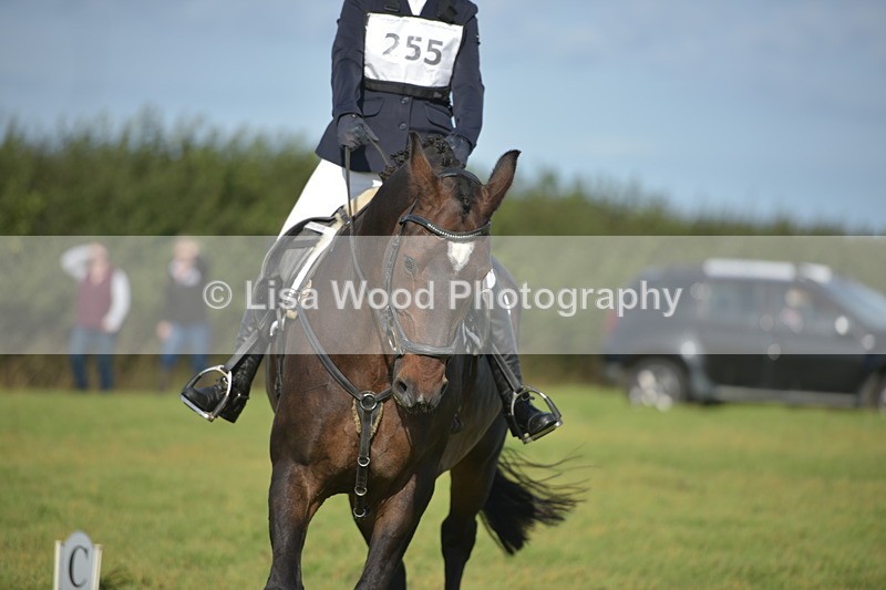 RAY_7486 - Class 2B: Trekenning Open: Dressage