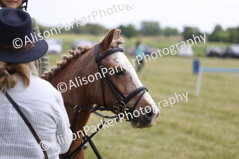 20260614-2061 - Class 21 - Novice Working Hunter Pony