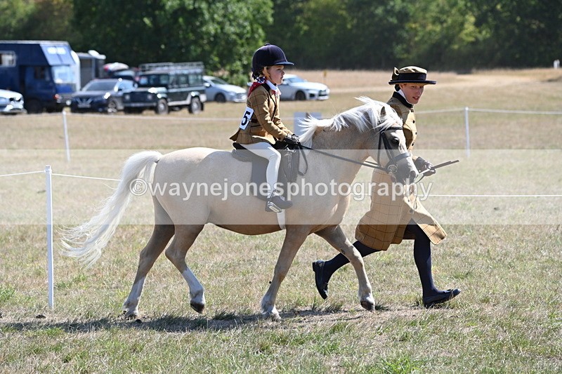 WJ6_7745 - Class 36 Lead Rein