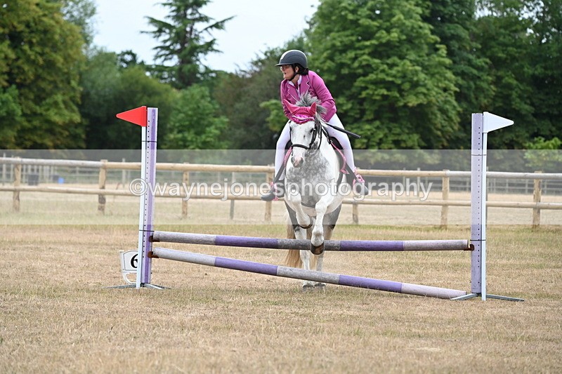 WJ6_0340 - Class 13 Novice Jumping 60cm